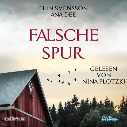 Falsche Spur bookCoverFor