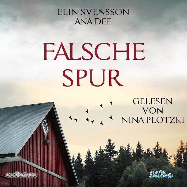 Book cover for Falsche Spur