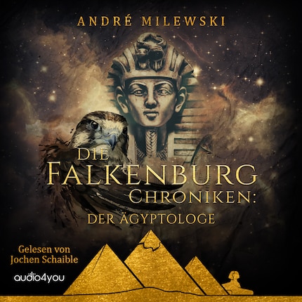 Die Falkenburg Chroniken bookCoverFor