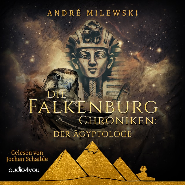 Book cover for Die Falkenburg Chroniken