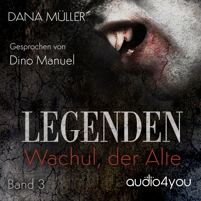 Book cover for Legenden Band 3