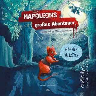 Napoleons grosses Abenteuer als Hörbuch