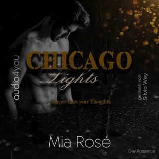 Chicago Lights Teil 3 als Hörbuch