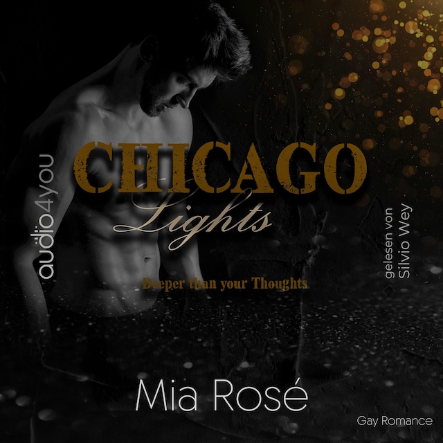 Book cover for Chicago Lights Teil 3