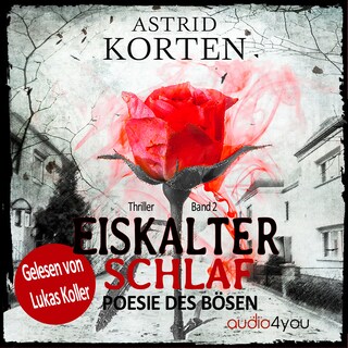 Eiskalter Schlaf als Hörbuch