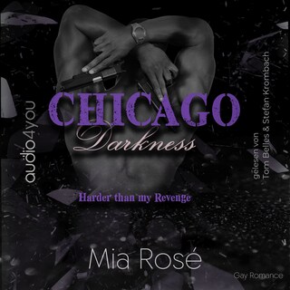 Chicago Darkness als Hörbuch