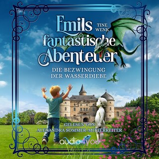 Emils fantastisches Abenteuer als Hörbuch