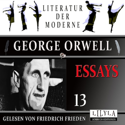 Essays 13