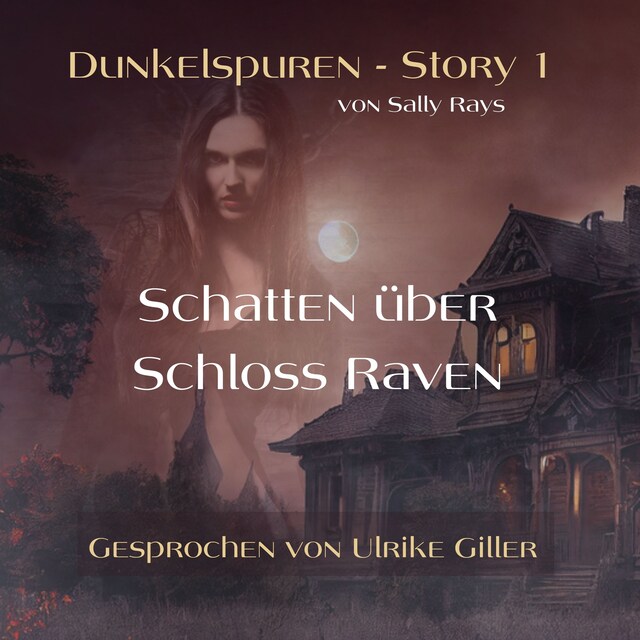 Book cover for Dunkelspuren - Story 1