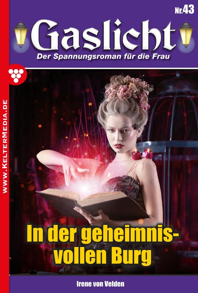 Buchcover für In der geheimnisvollen Burg