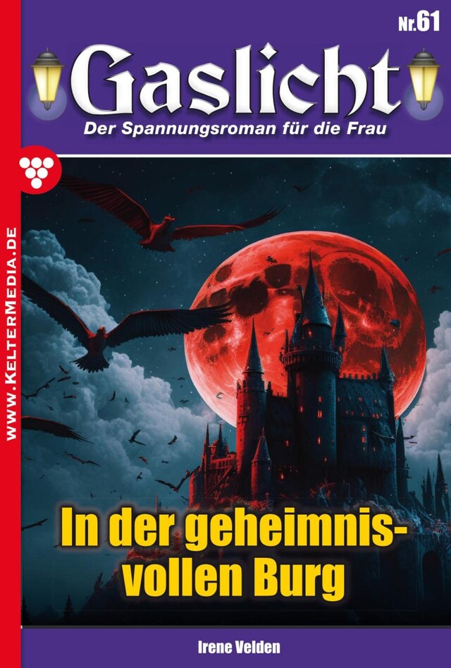 Bokomslag for In der geheimnisvollen Burg