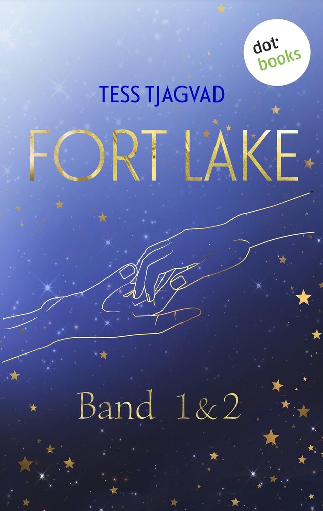 Book cover for Fort Lake