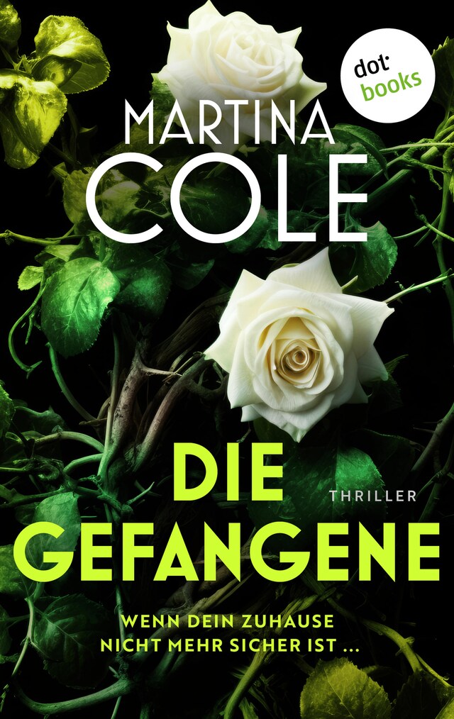 Buchcover für Die Gefangene