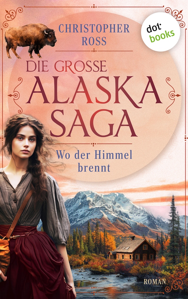 Book cover for Wo der Himmel brennt