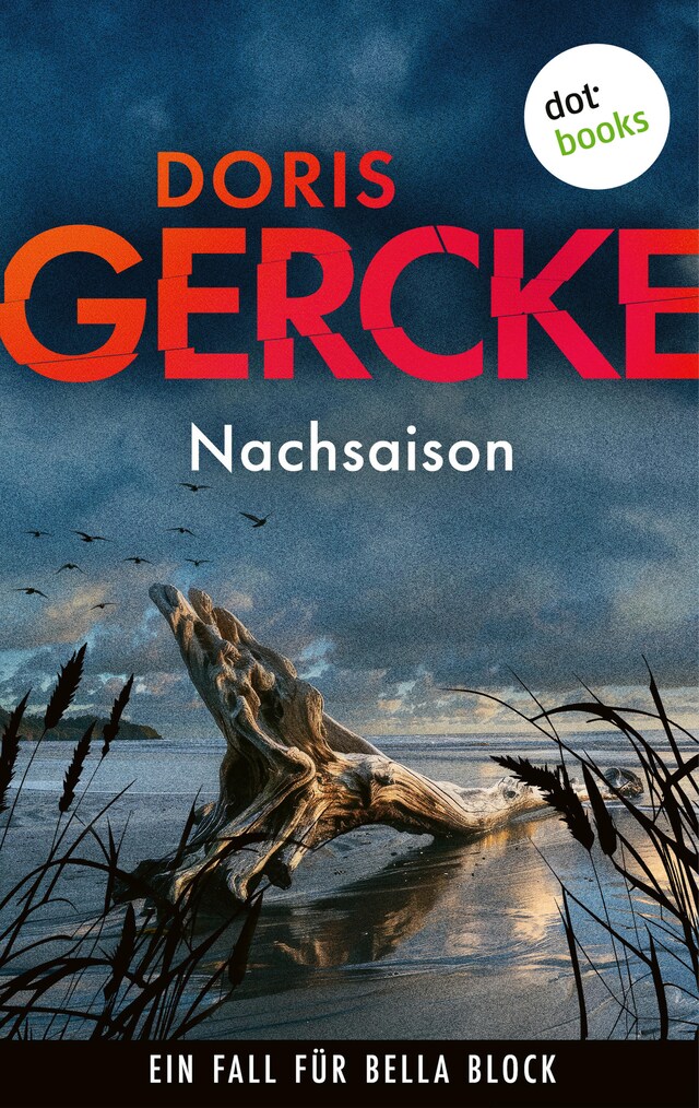 Book cover for Nachsaison