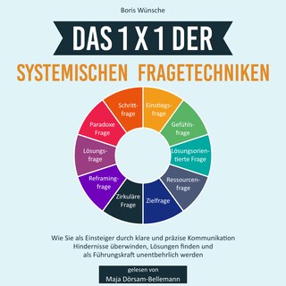 Das 1x1 der systemischen Fragetechniken als Hörbuch