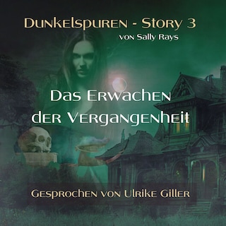 Dunkelspuren - Story 3 als Hörbuch