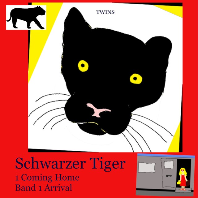 Buchcover für Schwarzer Tiger 1 Coming Home
