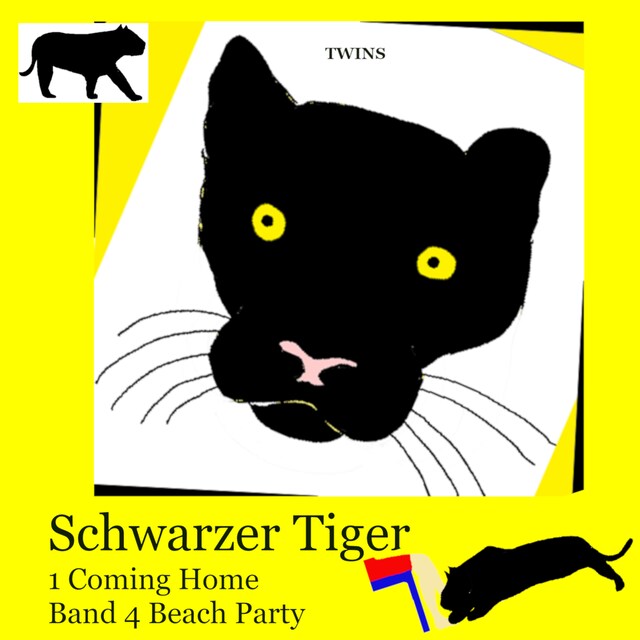 Book cover for Schwarzer Tiger 1 Coming Home