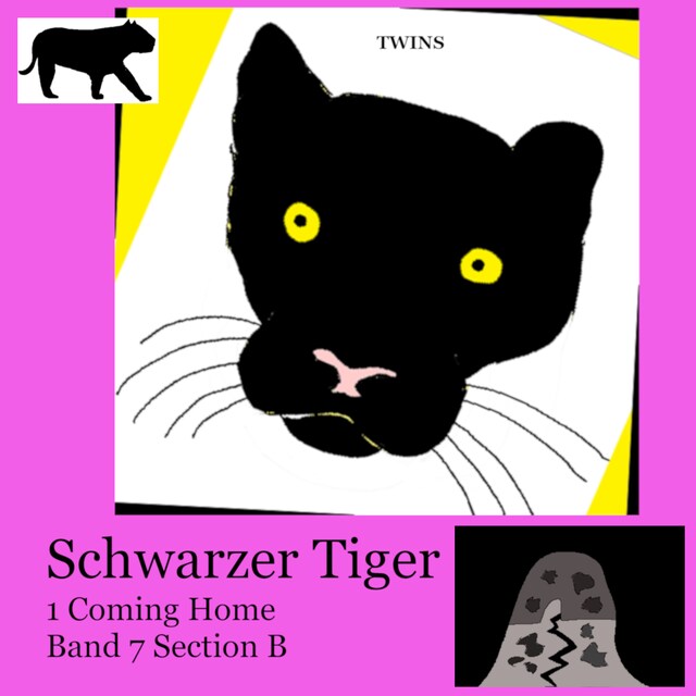 Portada de libro para Schwarzer Tiger 1 Coming Home