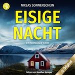 Eisige Nacht – Ein Norwegen-Krimi