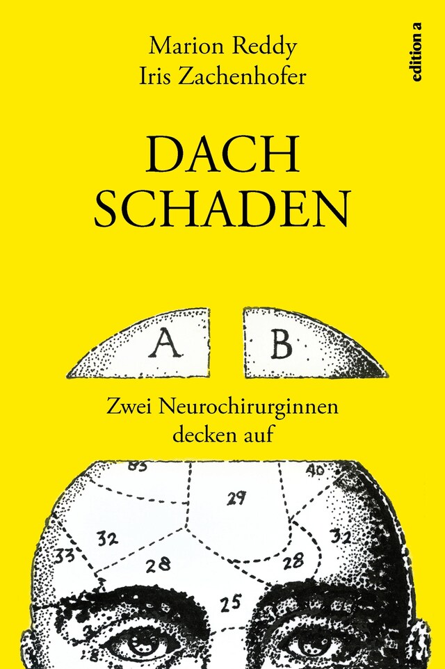 Book cover for Dachschaden