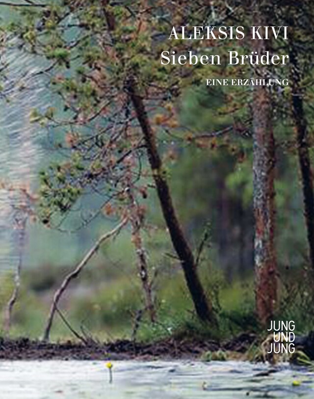 Book cover for Sieben Brüder