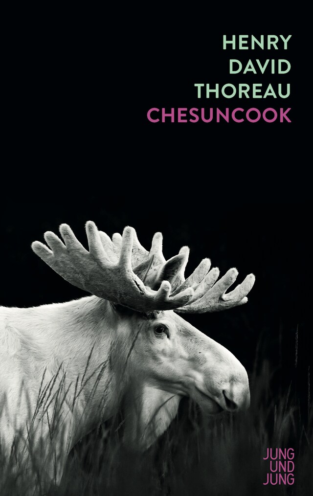 Chesuncook