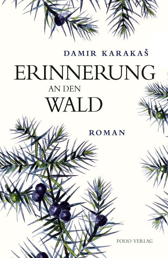 Book cover for Erinnerung an den Wald
