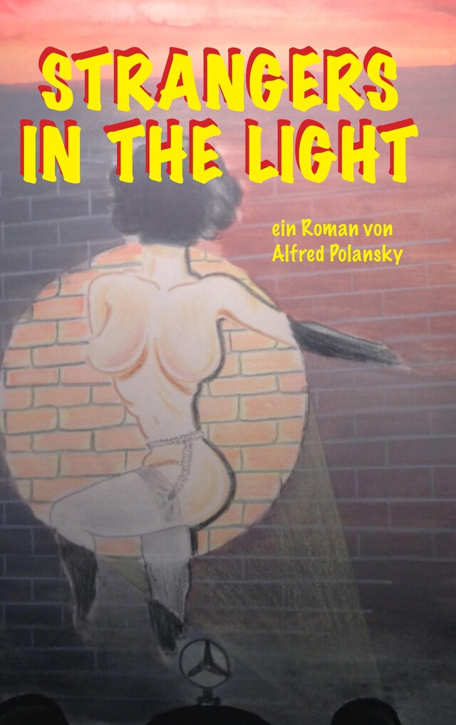 Couverture de livre pour Strangers in the Light