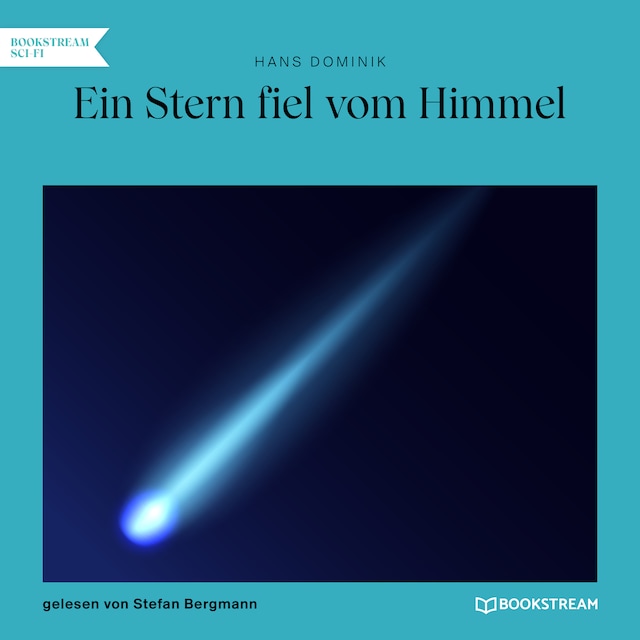 Okładka książki dla Ein Stern fiel vom Himmel (Ungekürzt)