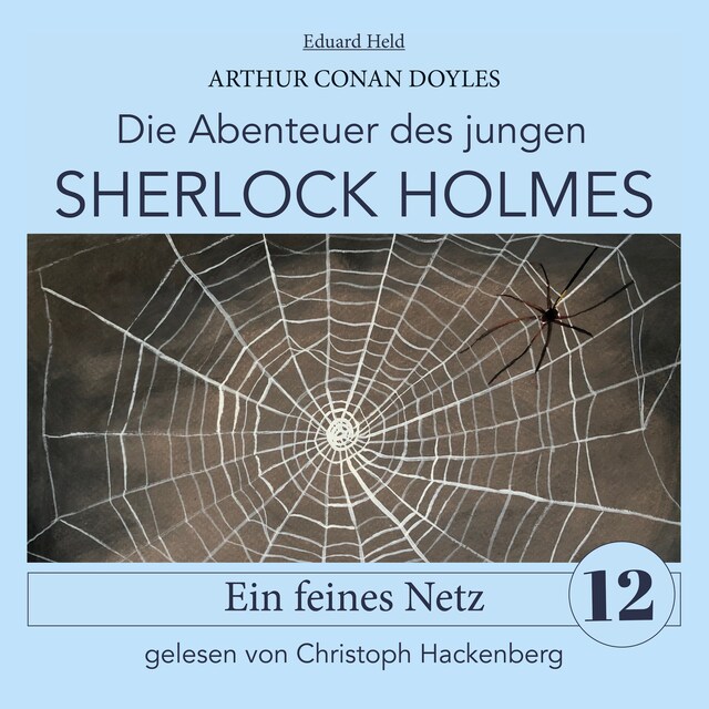 Book cover for Sherlock Holmes: Ein feines Netz - Die Abenteuer des jungen Sherlock Holmes, Folge 12 (Ungekürzt)
