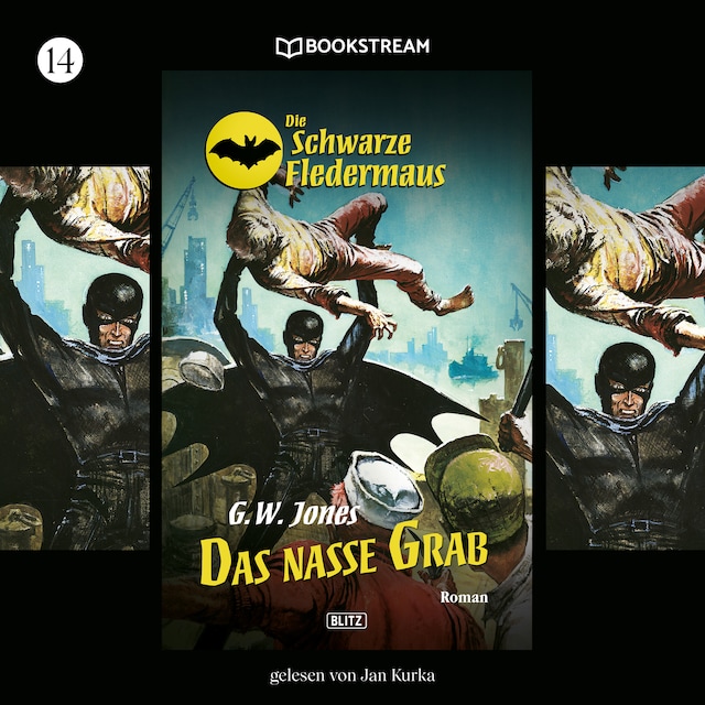 Book cover for Das nasse Grab - Die Schwarze Fledermaus, Folge 14 (Ungekürzt)