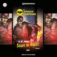 Die Schwarze Fledermaus, Folge 15: Stadt in Angst