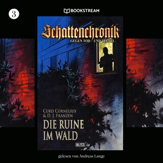 Schattenchronik, Folge 3: Die Ruine im Wald als Hörbuch