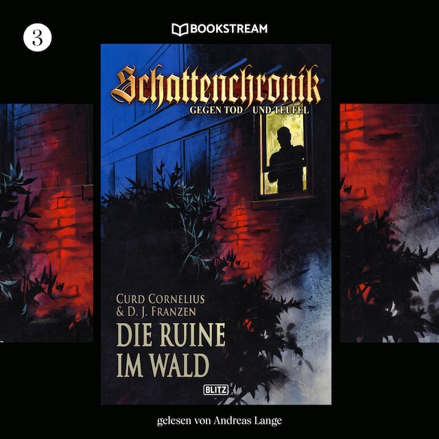 Couverture de livre pour Die Ruine im Wald - Schattenchronik, Folge 3 (Ungekürzt)