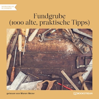 Fundgrube - 1000 alte, praktische Tipps als Hörbuch