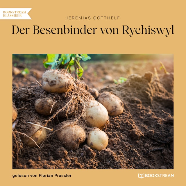 Kirjankansi teokselle Der Besenbinder von Rychiswyl (Ungekürzt)