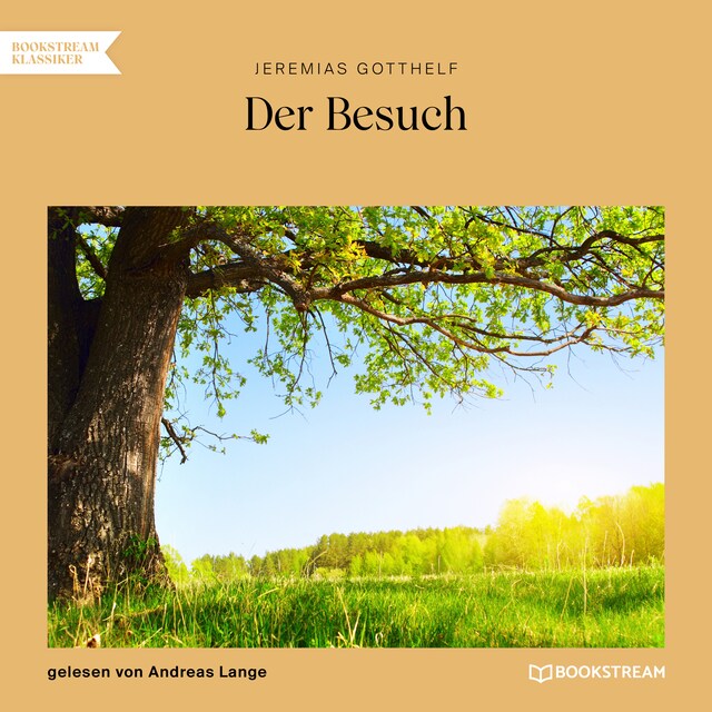 Book cover for Der Besuch (Ungekürzt)