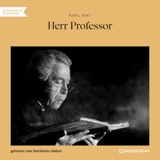 Book cover for Herr Professor (Ungekürzt)