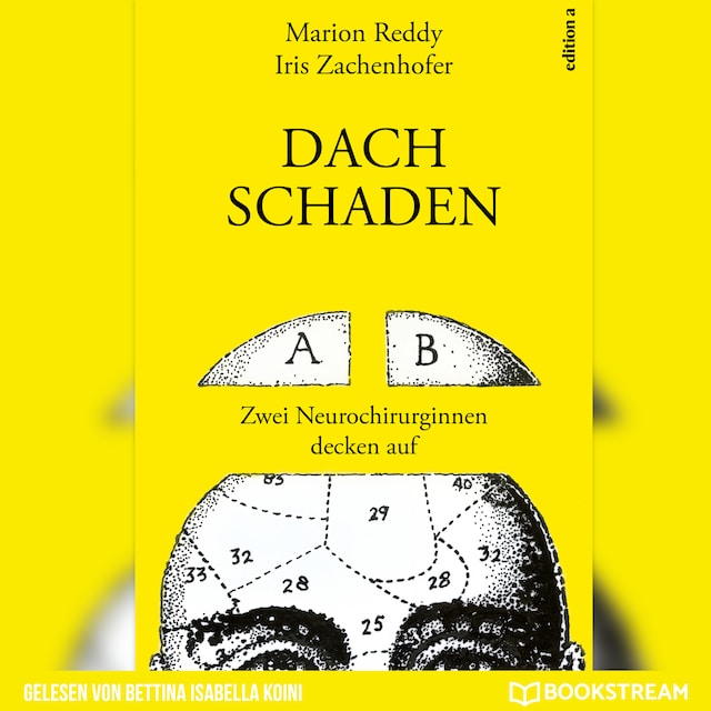 Book cover for Dachschaden - Zwei Neurochirurginnen decken auf (Ungekürzt)