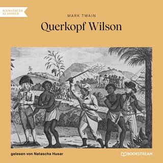 Querkopf Wilson als Hörbuch
