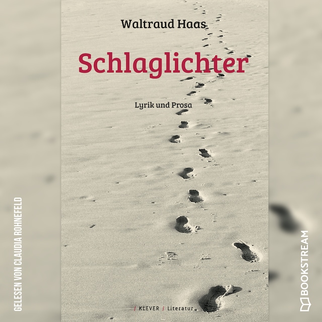 Book cover for Schlaglichter - Lyrik und Prosa (Ungekürzt)