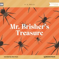Mr. Brisher's Treasure (Unabridged)