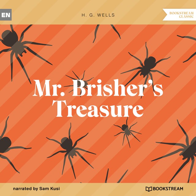 Buchcover für Mr. Brisher's Treasure (Unabridged)