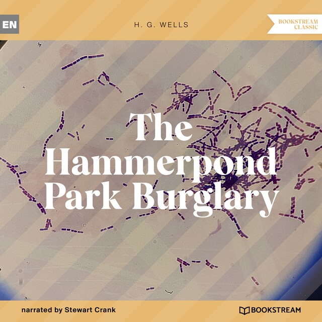 Bogomslag for The Hammerpond Park Burglary (Unabridged)