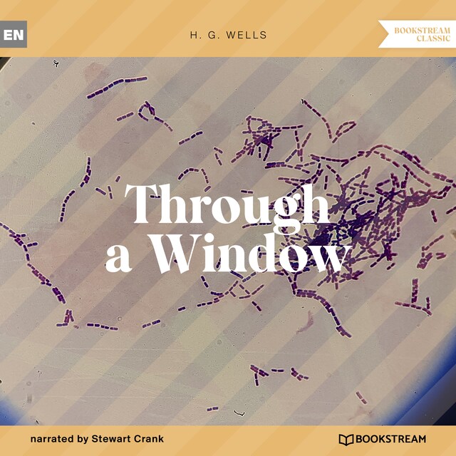 Book cover for Through a Window (Unabridged)