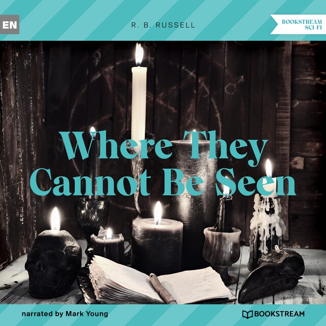 Book cover for Where They Cannot Be Seen (Unabridged)
