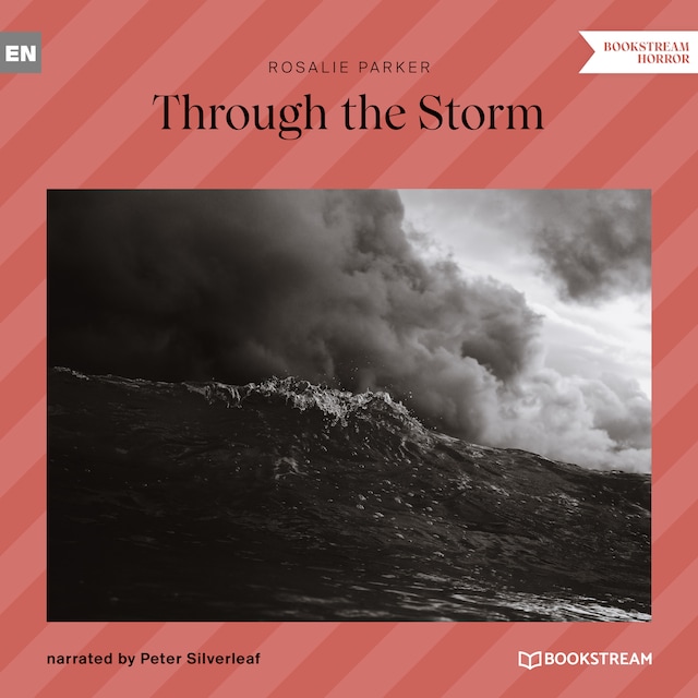 Kirjankansi teokselle Through the Storm (Unabridged)