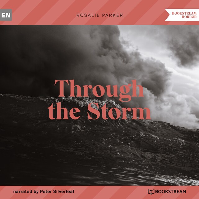 Book cover for Through the Storm (Unabridged)